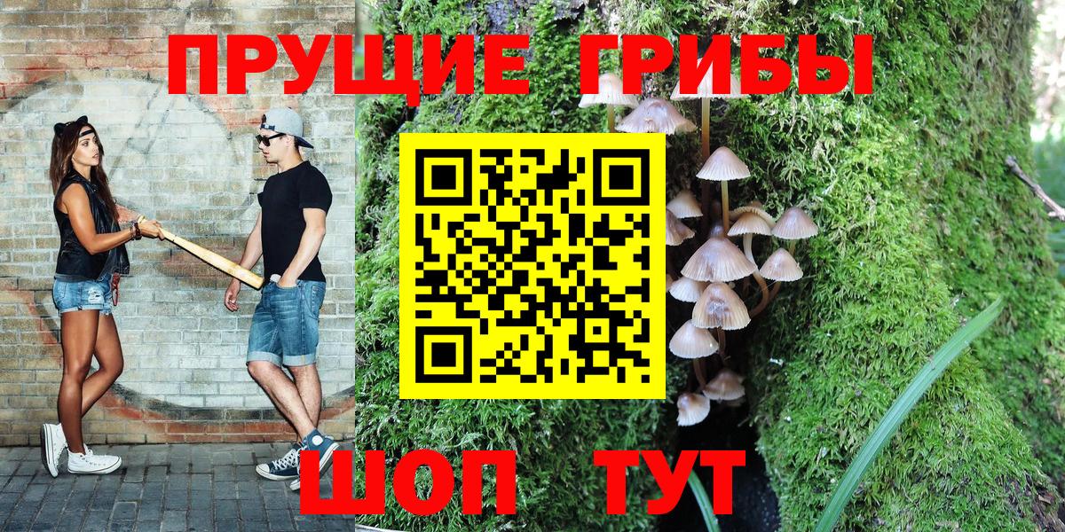 Алушта  Псилоцибиновые грибы Magic Shrooms  Вход с VPN 
