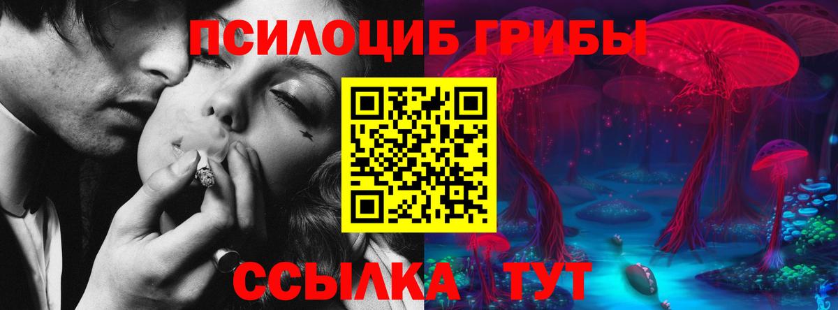Псилоцибиновые грибы Cubensis Алушта